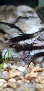 photo 2021 08 30 17 58 42 photo 2021 08 30 17 58 42