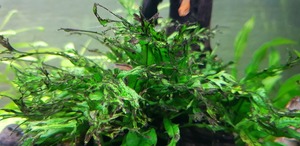 photo 2021 08 30 17 58 46 photo 2021 08 30 17 58 46