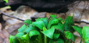 photo 2021 08 30 17 58 52 photo 2021 08 30 17 58 52