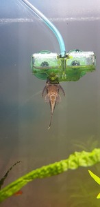 photo 2021 09 18 15 55 39