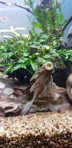 photo 2021 09 18 19 14 46
