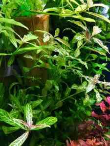 IMG 20210524 165814